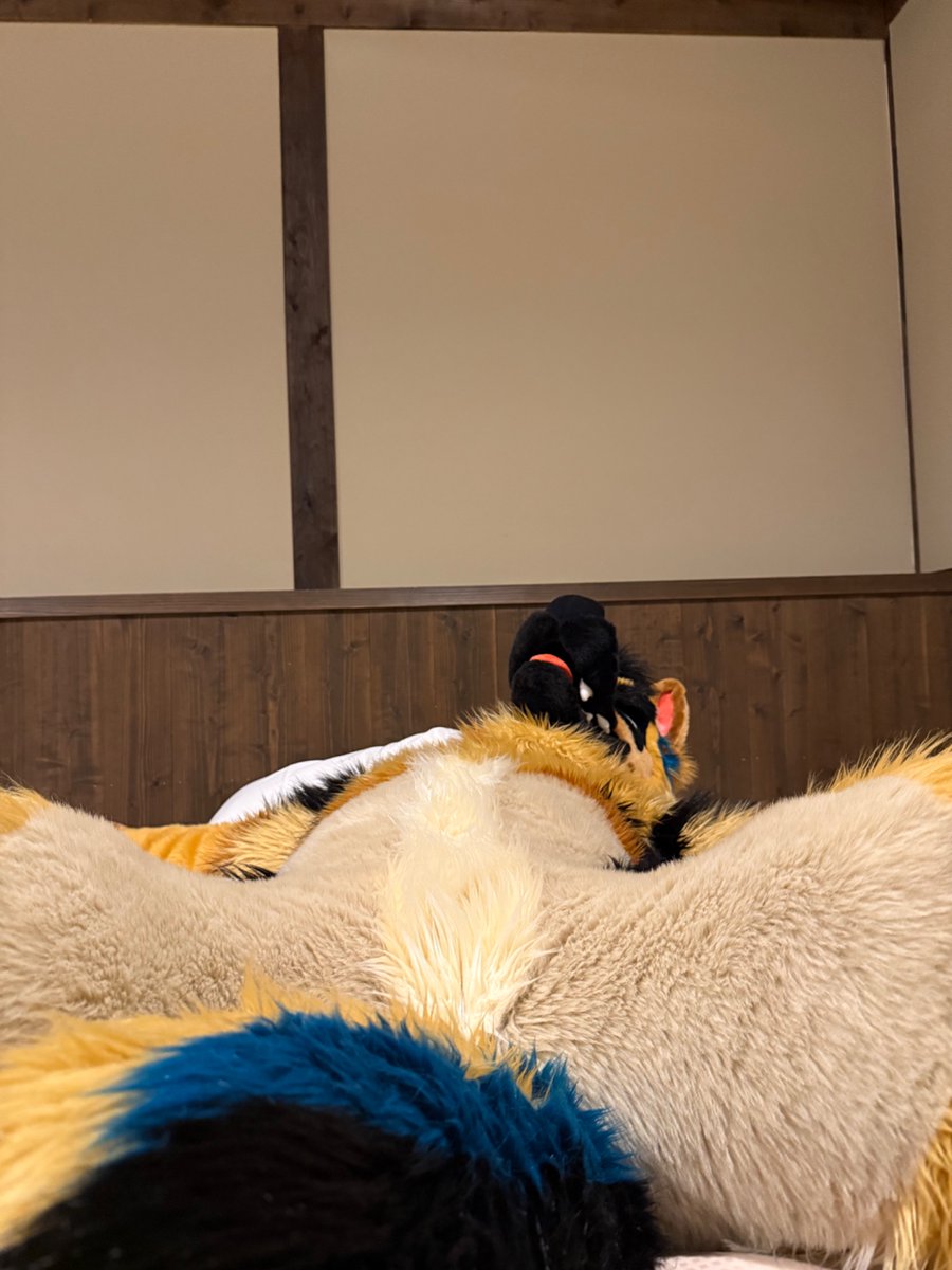 Rig_sor2024's tweet image. 「優雅なひととき」を演出中