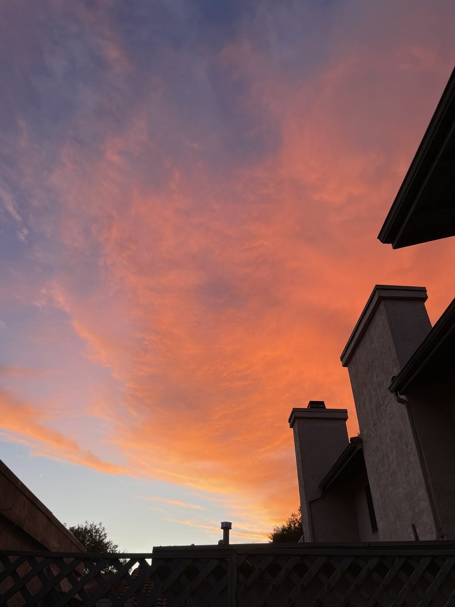 sunset tonight was making everything glow pink