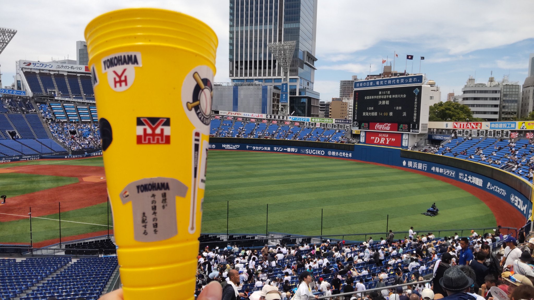45-23/45-24【スタジアム・サポートなどの1枚50円✕180枚】 45-23/45-24【スタジアム・サポートなどの1✕180枚】 ポケモン