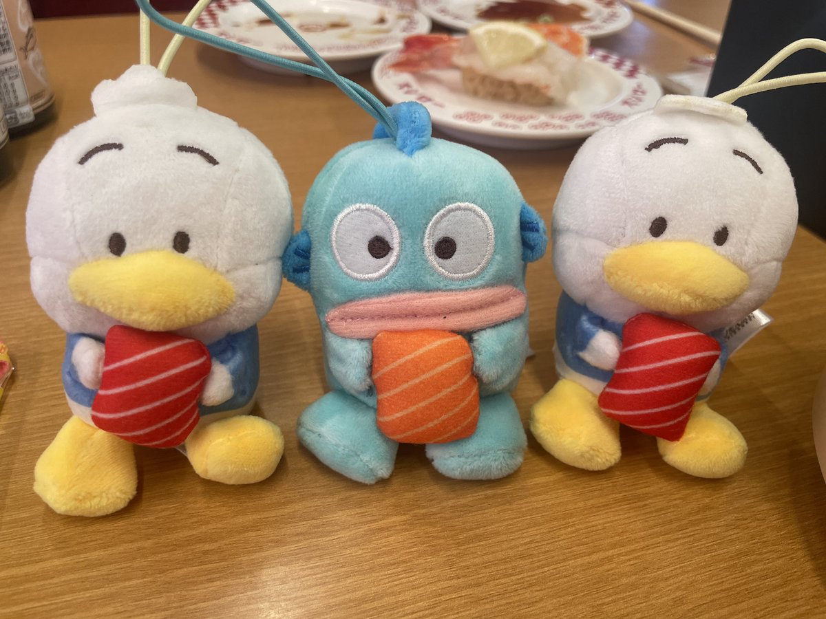 ぽちゃ🐶 tweet media