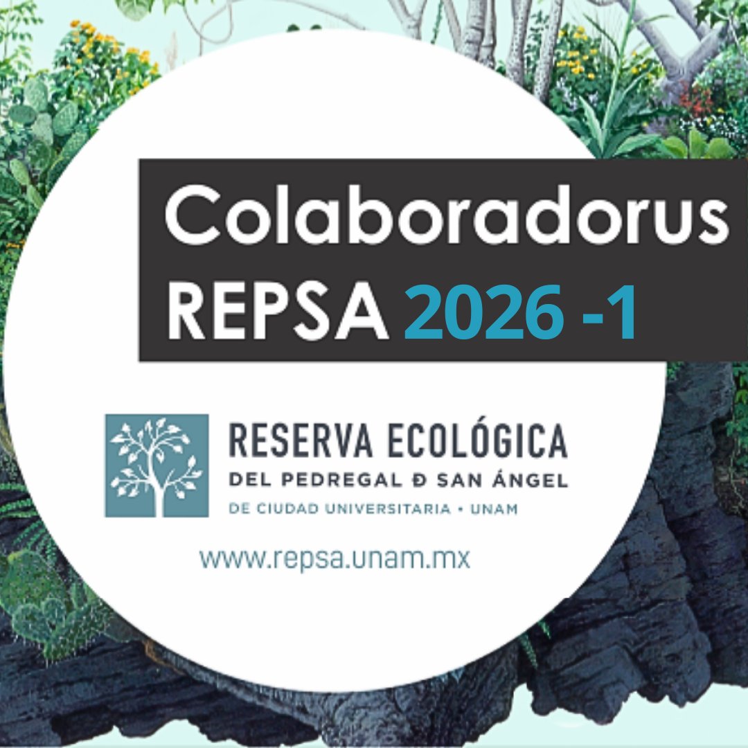 ¡Ya quedan pocos lugares! 🌋👥 Convocatoria Colaboradorus REPSA 👉🏽

Informes y requisitos:
cutt.ly/BrICP40g
O repsa.unam.mx

Vigencia de la convocatoria:
Del 14 al 27 de julio o
antes si se llena el cupo.

🌋🖤🌀
🍃🌼🐍🦋🦗🐾🪶🌈