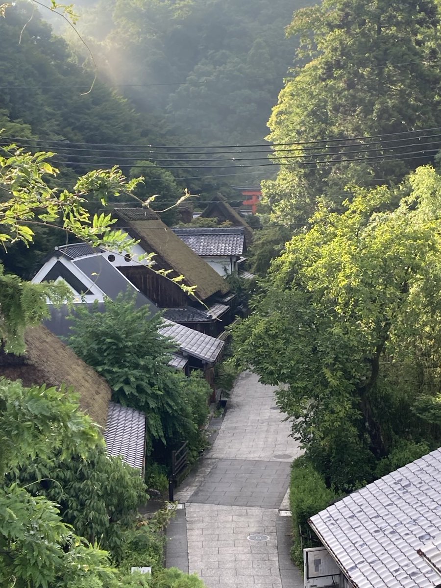 The_Stone_Oishi's tweet photo. A group from America visited #thestone in Kyoto. "Amazing," they said many times😆 Some people were in tears and seemed to have sensed something from it.
嵯峨野 #御石 に来たアメリカからの団体さん。飛び交うAmazingの声に激しく同意😆涙を流す方もいて、御石から何かを感じとったのかな https://t.co/GPQYMg1c8V