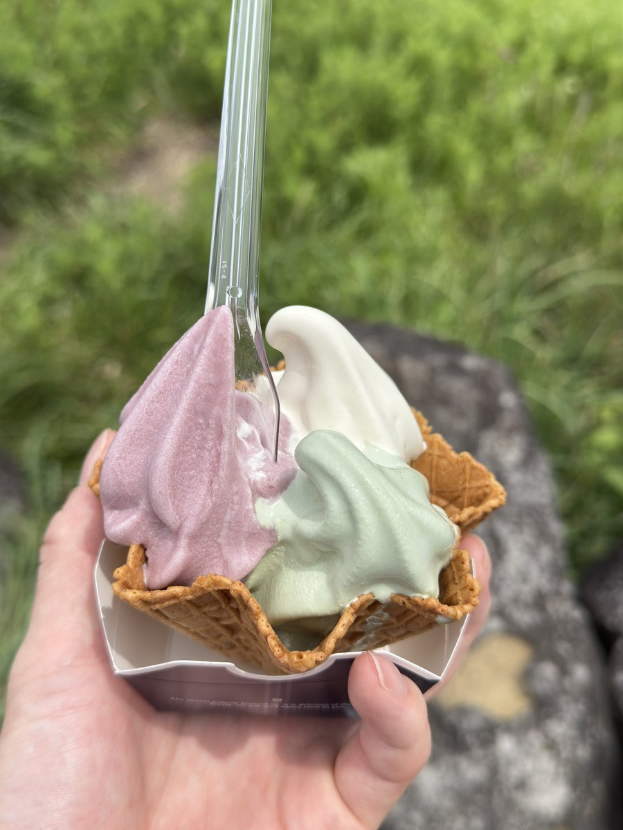 山ぶどう&amp;高原バニラ&amp;熊笹のつちゆソフト🍦

山ブトウは酸味があってバニラと相性🙆‍♂️
そして熊笹はまさに5月に食べるちまきの風味？の味がした！
めっちゃ美味しすぎたから帰りも食べます😋