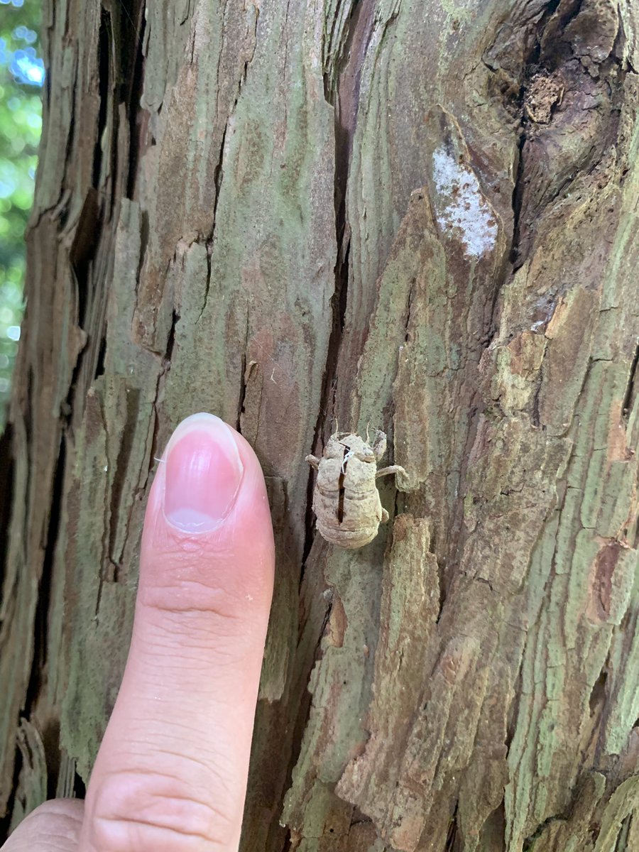 tai_0103's tweet image. ヤケになってチャリで山道を登っている
あつい、、、、