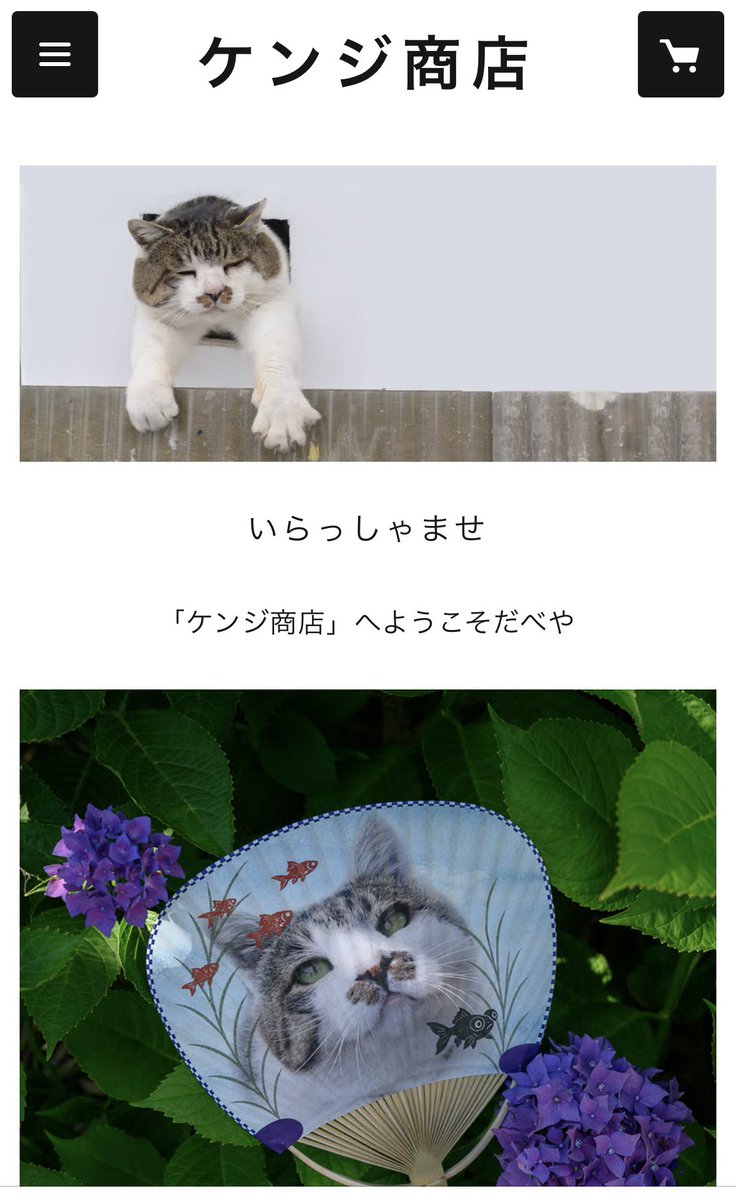 miho885610's tweet image. 「ケンジ商店」オープン

ケンジの新作たくさんだべ
bigfacecat-kenji.com