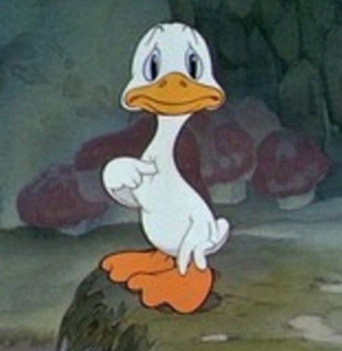 jenpnthr's tweet image. 