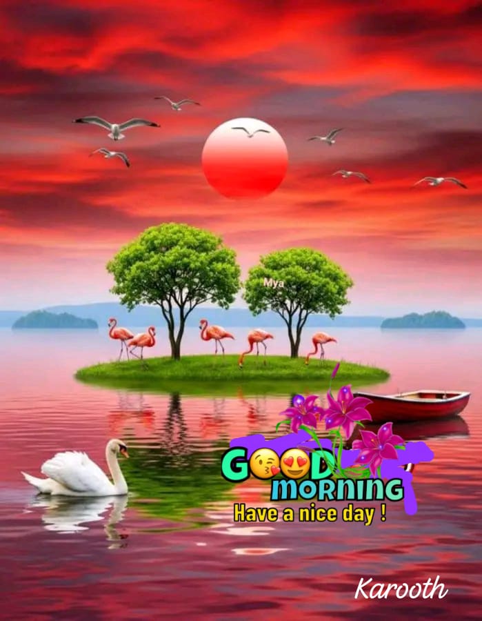 Good morning, Inderjit 🌄 Beautiful Sunday, dear friend 🌺🍀🌼🌹