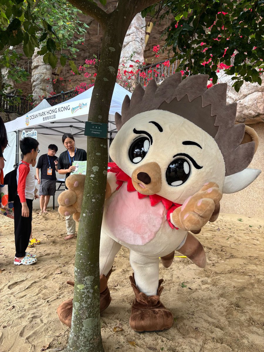chiro_0502's tweet image. ããã«ã¡ã¯âª
仿¥ã¯ïŒã¹ã€ã«ã®æ¥ð
ãŒãã¯ãã¹ã€ã«ã«ðãå¡©ãããŠé£ã¹ããã âºïžâºïžãããçããŠãããããâšâšâšâš
åŸã§ãã¹ã€ã«å²ãããããâ€ïžâ€ïž
æãã®ã§ç¡çããä¹ãåããŸããã:*+.\(( °Ï° ))/.:+