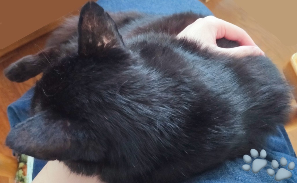 滴 5/3@東6ふ51a (@sz_kuu) on Twitter photo 