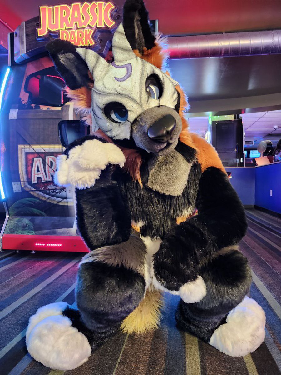 DeckerCrossFox's tweet image. None can hide 🐺
📸: @Nala_Elephant
🦊: @MadeFurYou
🎭: @phoenixwuff