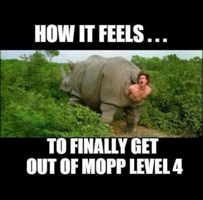d_Vick12's tweet image. I tried forgetting all about MOPP Levels. Then I saw this meme! 🤬