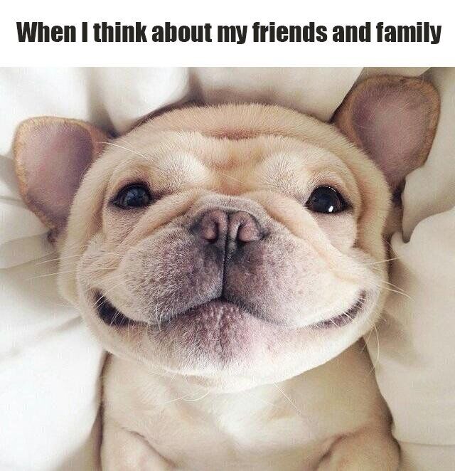 WholesomeMemes (@wholesomememe) on Twitter photo 
