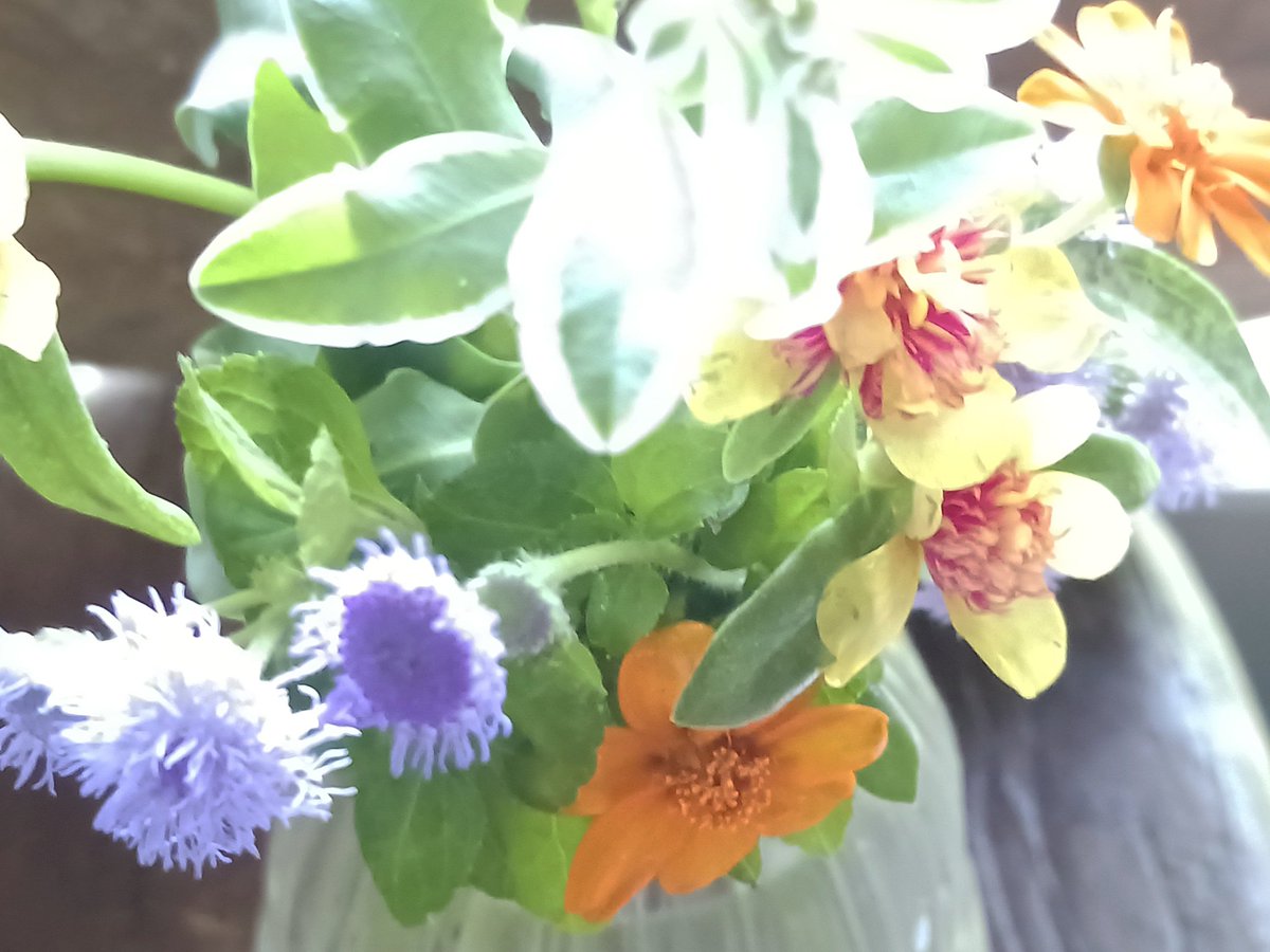usudon_yama's tweet image. 涼しくされて
よい午後をˎ₍•ʚ•₎ˏ🌿✨