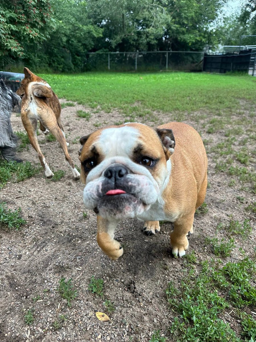 The house feels so empty without my Teeter Tot. One more day of school. Pick her up tomorrow afternoon