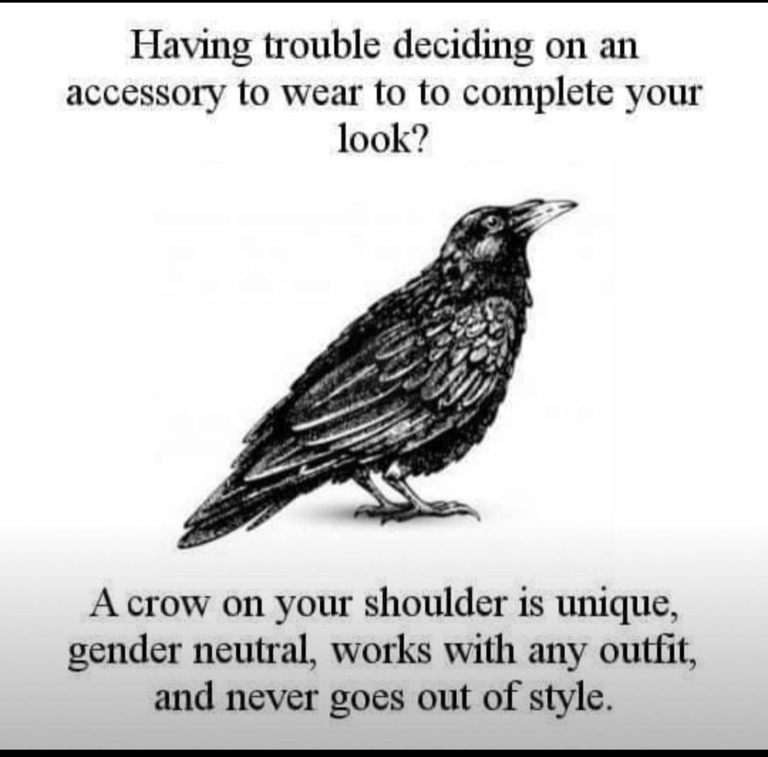 Prof_Brendo2's tweet image. Follow me for more fashion tips.