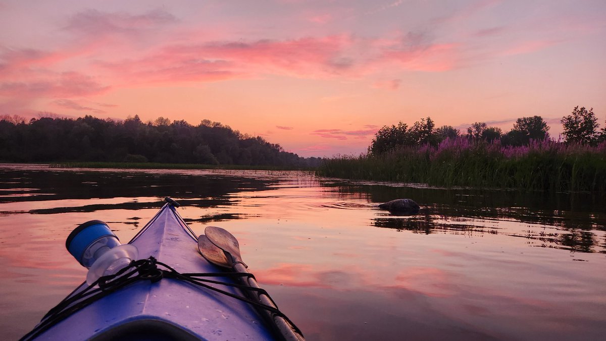 This sunset paddle was unreal! 😍 Off this weekend but I'm back this week!! twitch.tv/roboturner