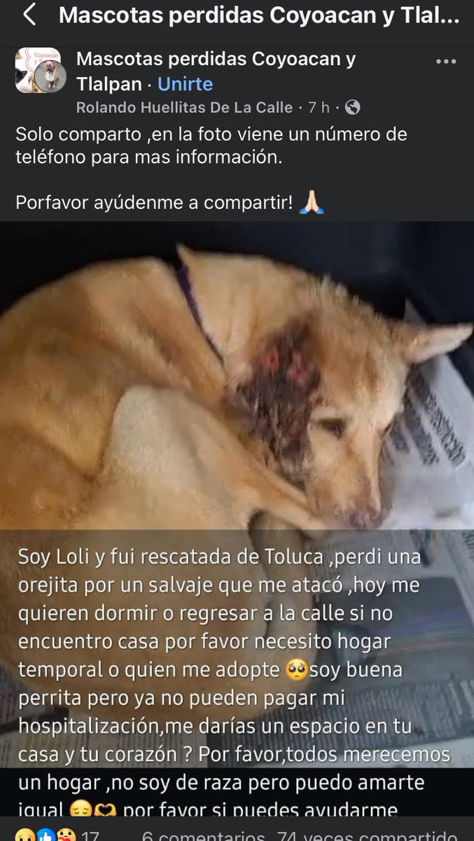 Col. Independencia ABJ (@colindependenc1) on Twitter photo 
