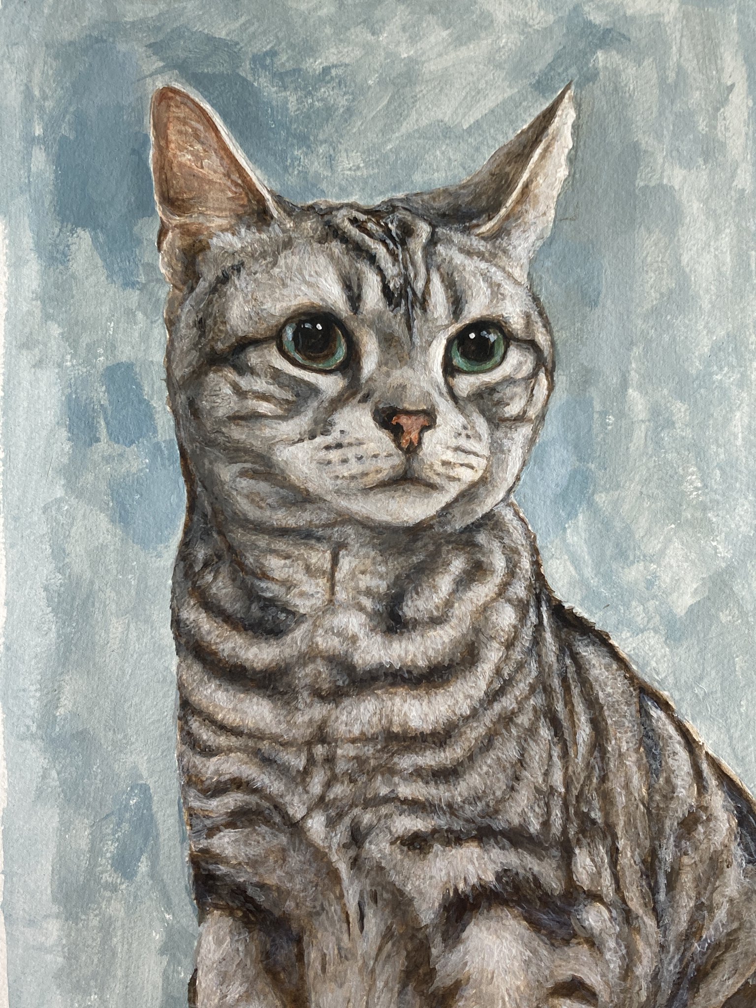 Yuki. S （猫絵描き） on X: 