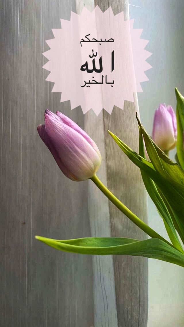 اللّهُمّ ازهر صباحنا برضاك عنّا
 وأفتح لنا أبواب خيرك.