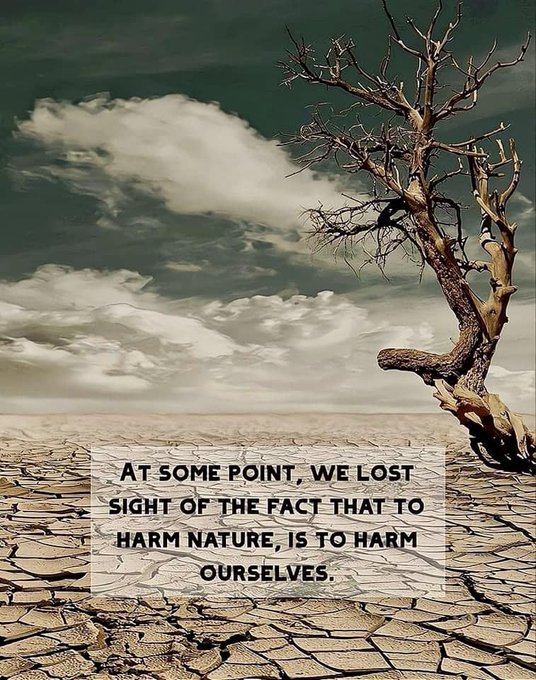What's the harm. . ?