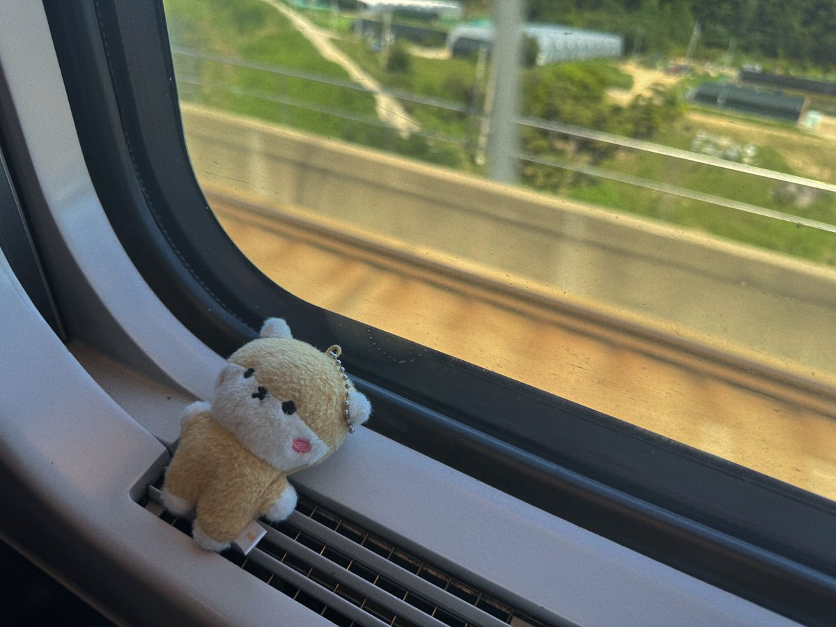 _egg6_6's tweet image. 부산여행끝