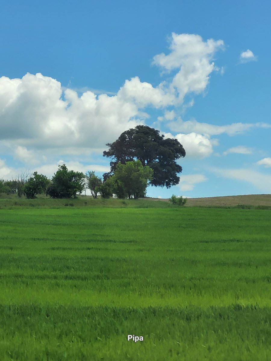 pipapipia's tweet image. Let&apos;s put landscapes in our lives. It&apos;s worth it. 💚💙