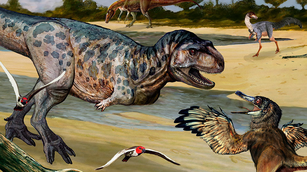 CRCpaleos's tweet image. PALEOESPECIES
Elemgasem nubilus
Dinosaurio terópodo abelisáurido
Cretácico de Argentina, 90-88Ma
🖌️Abel Germán Montes
