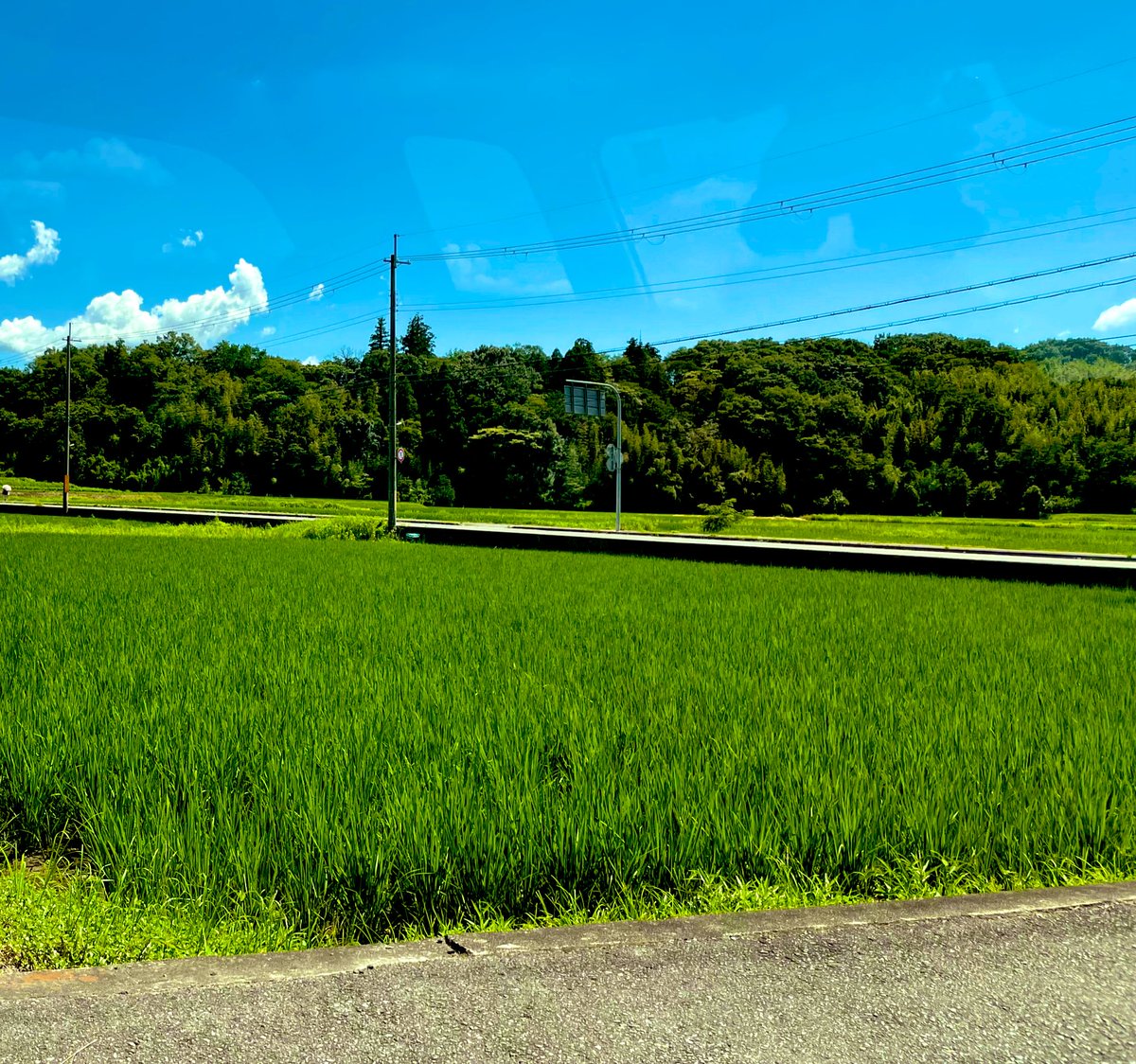 bbmm145's tweet image. 夏の田舎の資料を撮りたい気持ちあるが、田舎は暑さからの退避場所(コンビニとか)までの距離が遠いから現代の真夏に迂闊に外出るの怖い