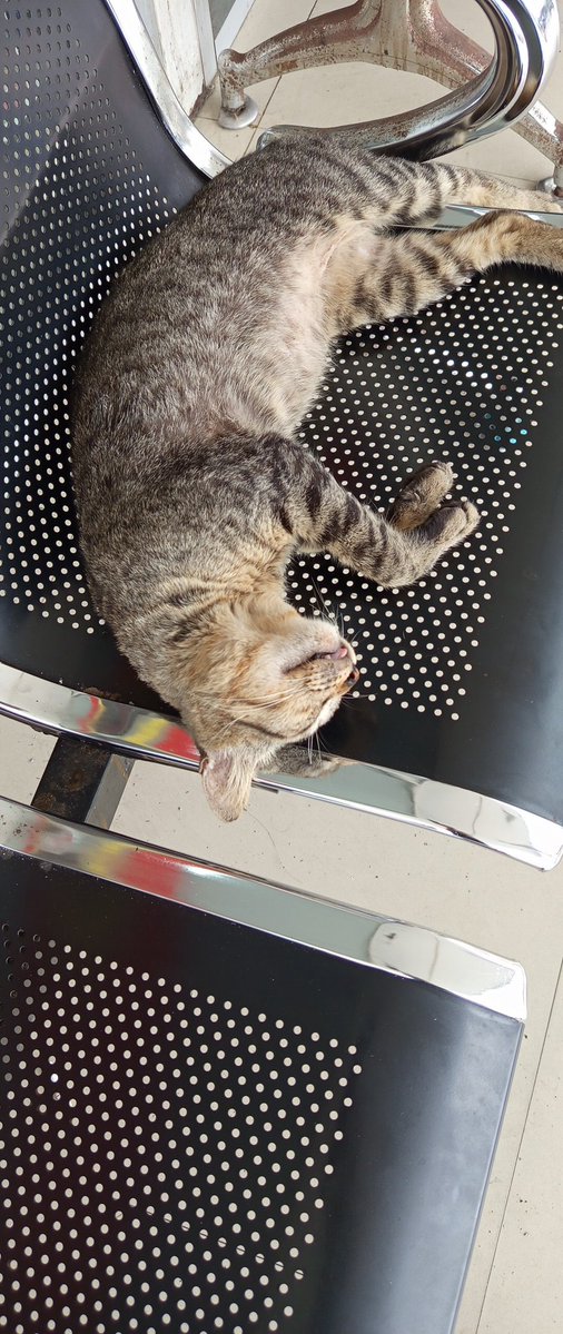 Nikmatnya tidur siang 😀