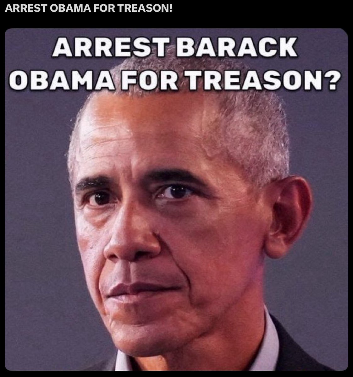 Lmmmd2017's tweet image. Arrest Obama for TREASON!