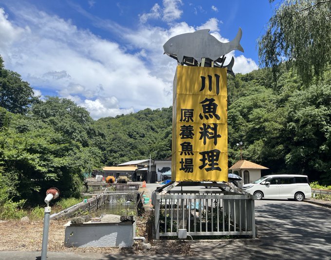 鯉料理!!!
鯉の刺身と鯉の煮付け!!! 