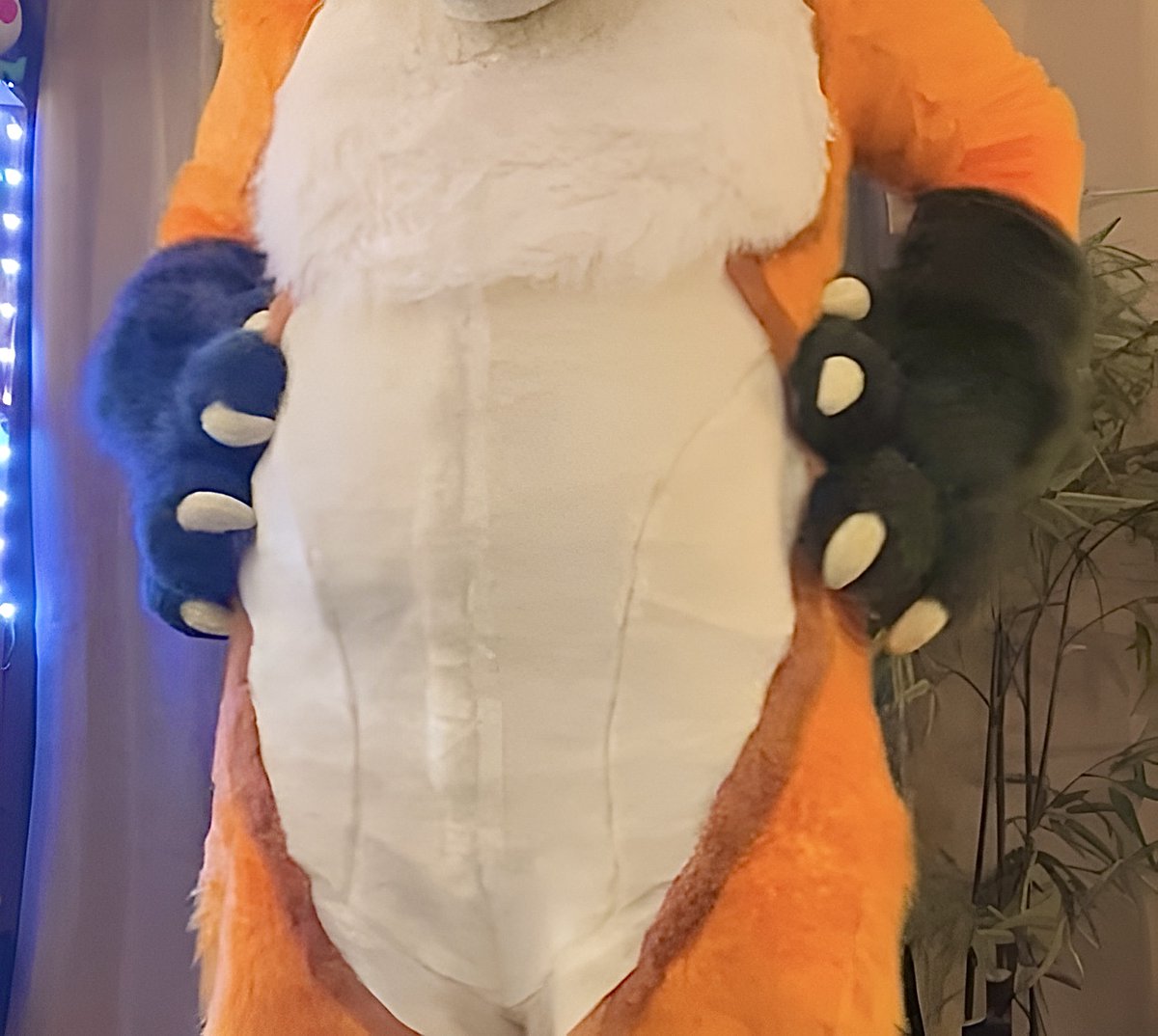 What do y'all think about THIS area on foxes?