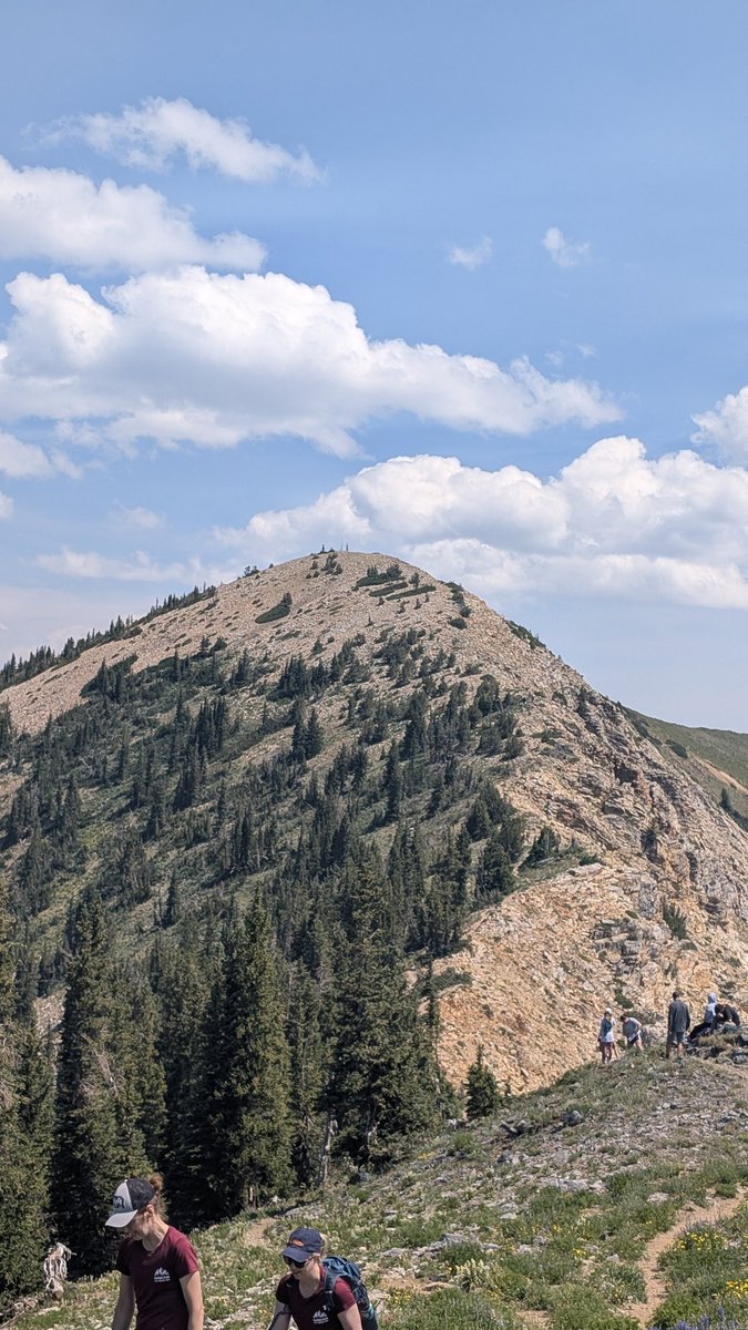 littlewillis1's tweet image. Proud moment today. Our oldest has a love for trail running. Totally different game than road running that I loved. He ran the Speedgoat 50K today at Snowbird. Never seen anything like it. 33 miles, more than 11k of elevation gain. Those runners today were unreal! @CragunPeyton