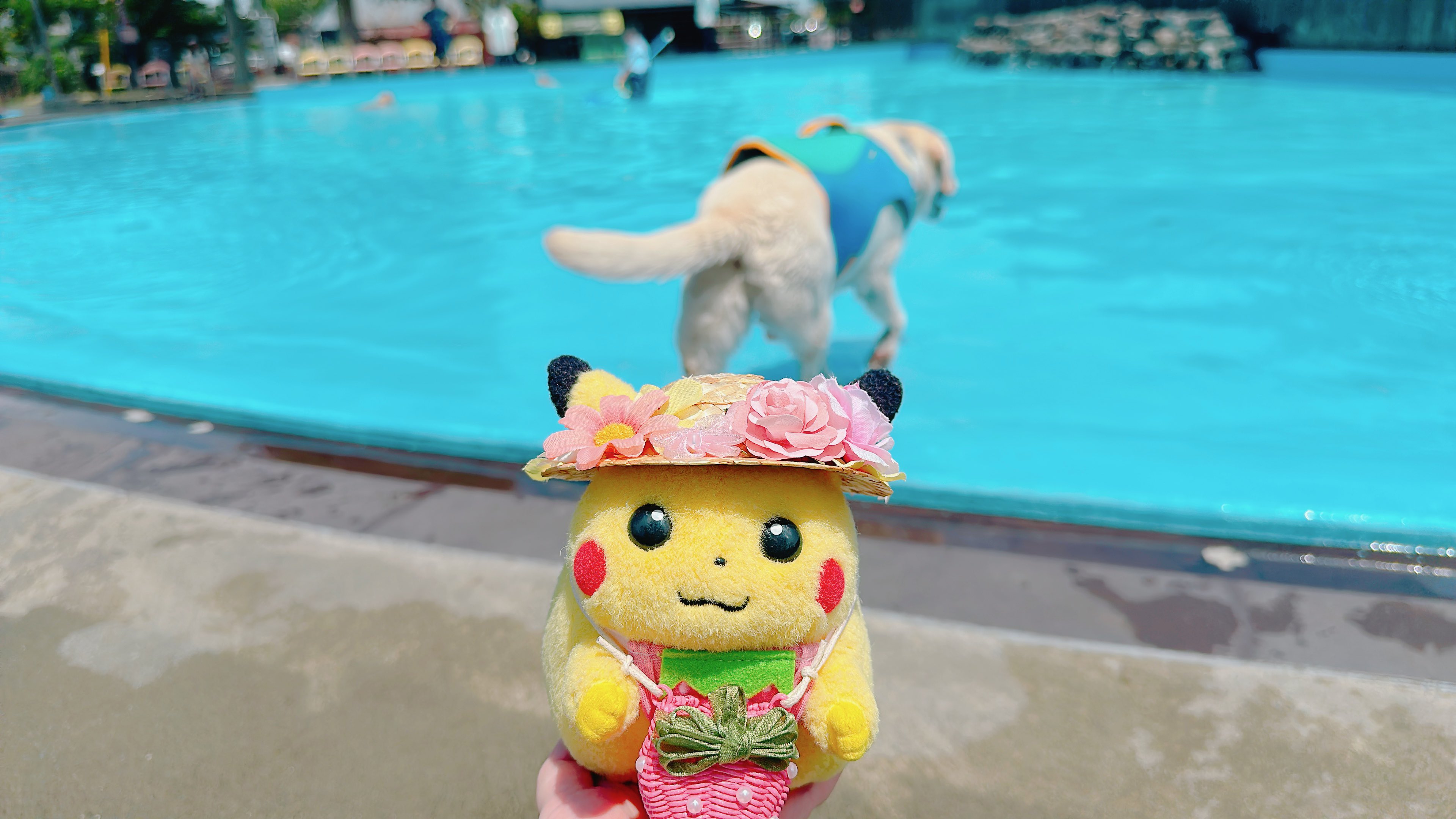 初期ピカなど TOMY ポケモン 初期ピカチュウ ぬいぐるみ｜トレファクONLINE