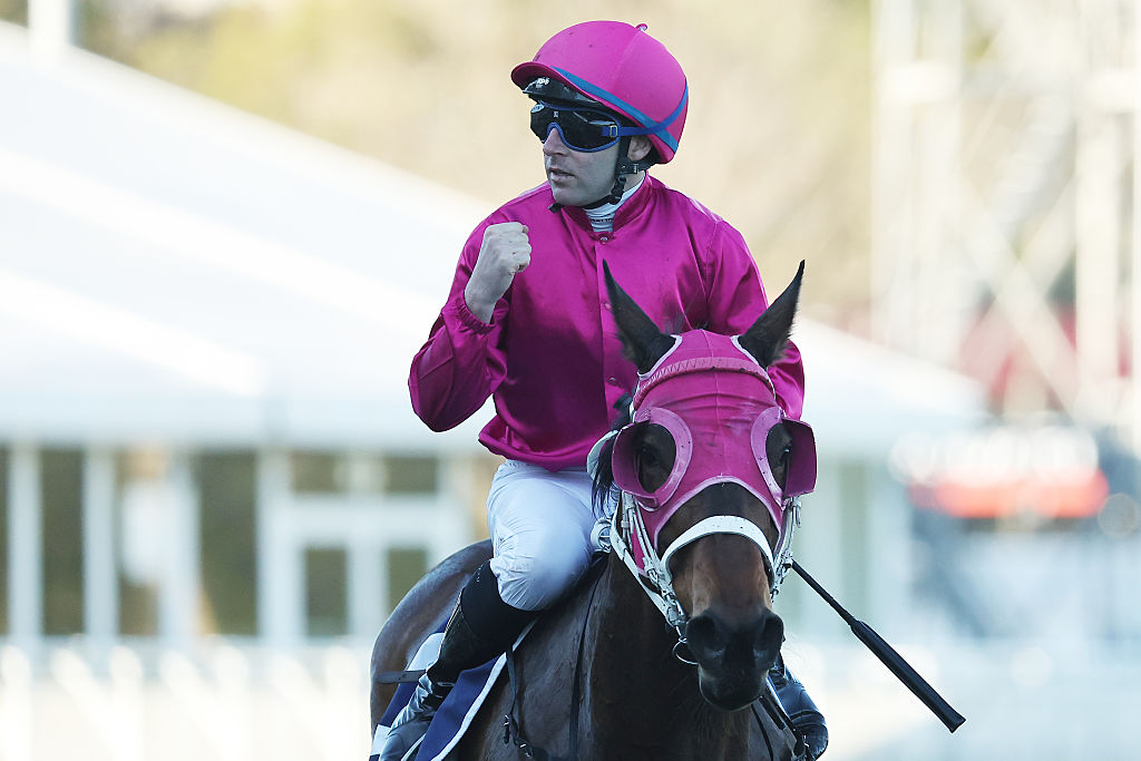 Punters's tweet image. Waller&apos;s mid-race thoughts: &quot;I don&apos;t know what this Tommy is doing, we said we were going to come through them and have the last crack at them.&quot;

Story 👉punt.rs/15dp