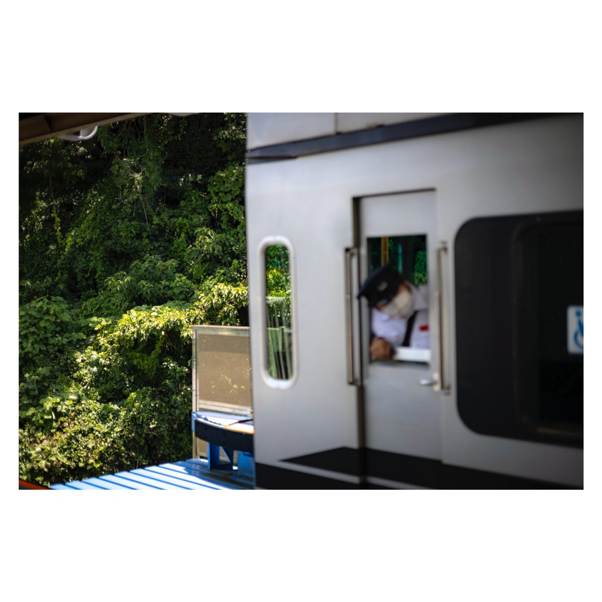 Tikuwa_Camera's tweet image. 