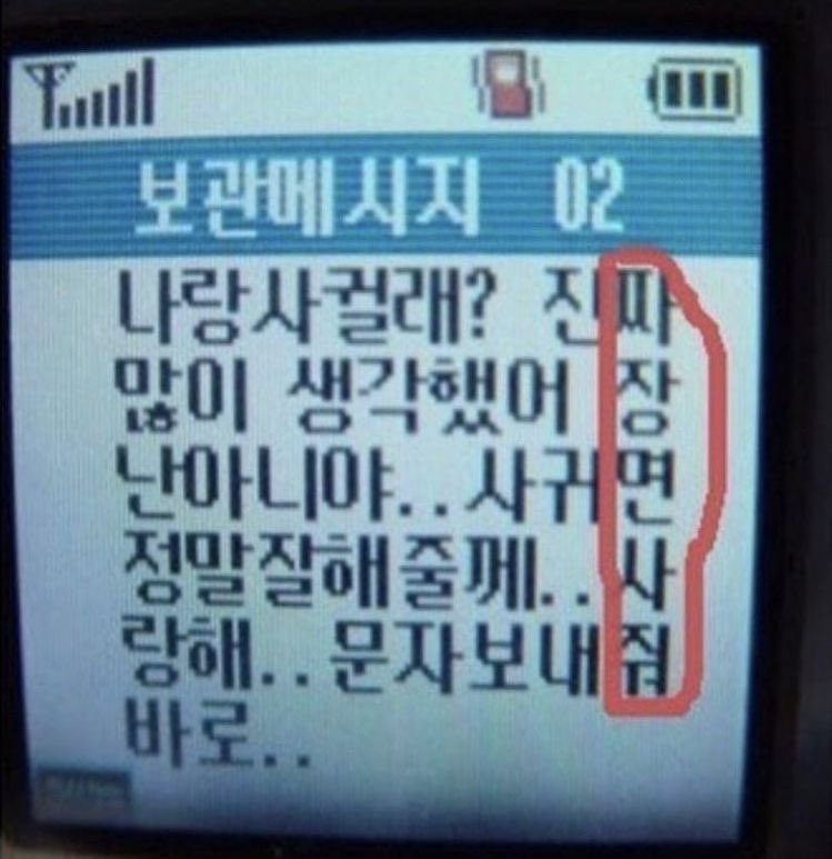 thirdimpactplz's tweet image. 나룽이 호시나한테이딴문자보내면
호시나 다 알면서 놀리고싶어서 네사궈요 함