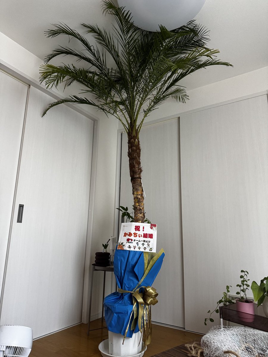 kamicigerrardon's tweet image. 結婚祝い頂きました🌴