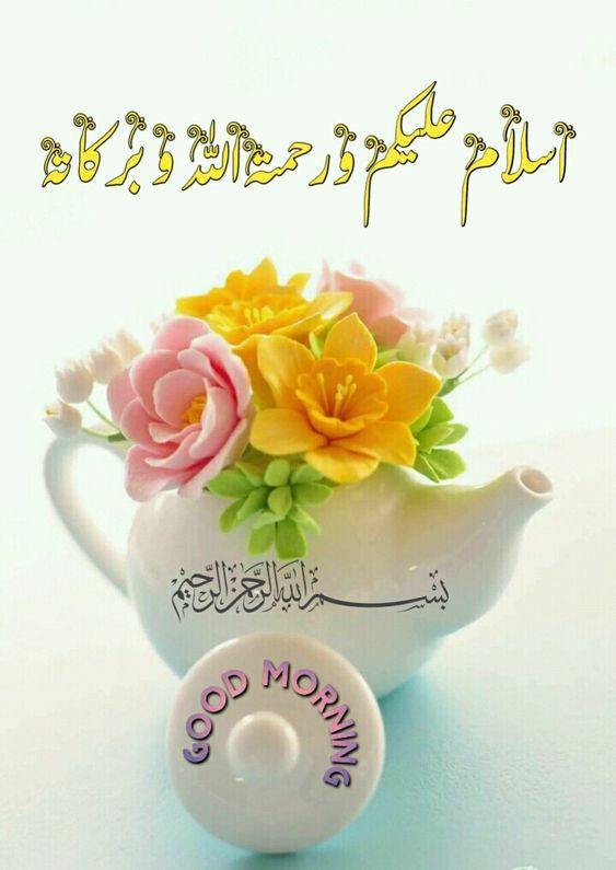 السلام علیکم ورحمۃ اللہ وبرکاتہ 💞 
شروع اللہ کے نام سے جو بڑا مہربان نہایت رحم 
 کرنے والا ہے 

اے میرے پروردگار 

 ہمیں دنیا و آخرت کی رسوائی سے محفوظ رکھنا 
آمین ثمہ آمین 💞 

صبح بخیر 💞