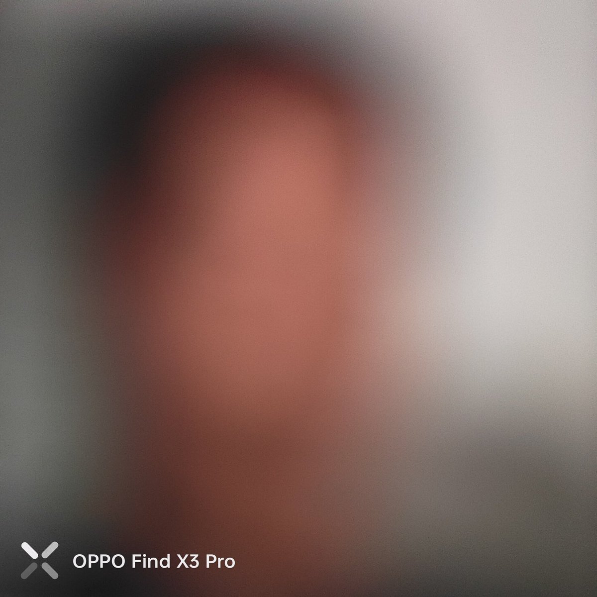 寝とうふ (@nemu_nemu__318) on Twitter photo 