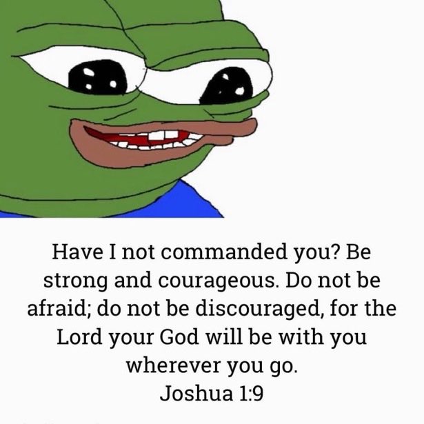 LindyFren's tweet image. 