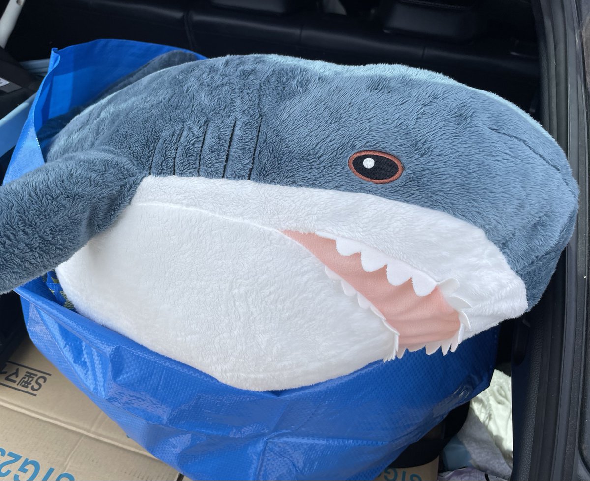 papimeruVRC's tweet image. 捕獲🦈