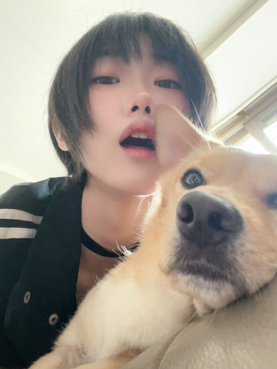 nyan92e's tweet image. #自我からコスプレイヤーへ