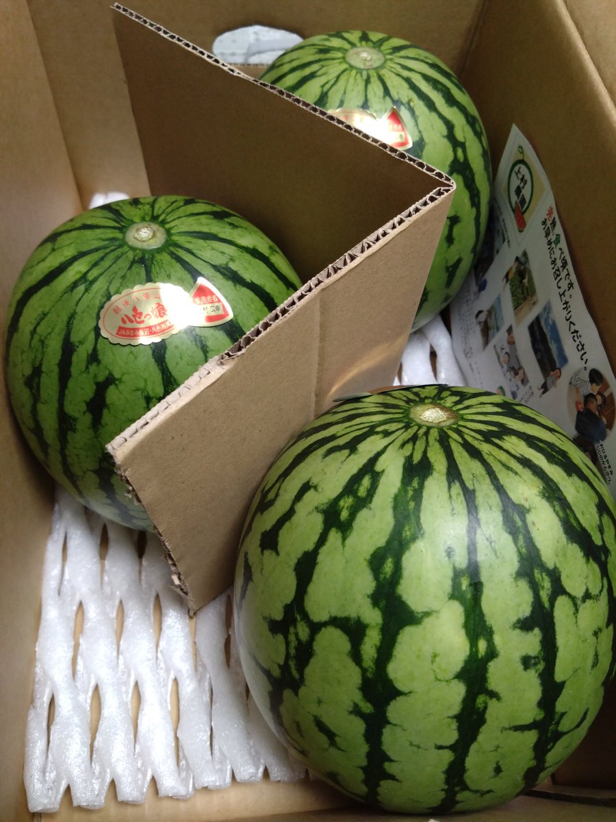 確認どうぞ♥西瓜の皮の色の斑入りです。 スイスイ on X