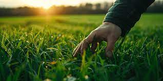 scott_roa's tweet photo. @opensea

#openseatouchgrass https://t.co/scTggTVlm3