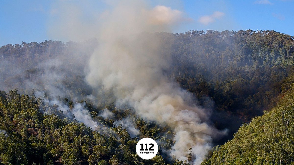 112's tweet image. ⚠️ Recorda la importància de trucar al telèfon d'emergències @112 ☎ si veus una columna de fum o foc al bosc🔥
La rapidesa de l’avís és molt important per activar els serveis d’emergència i arribar al lloc el més aviat possible