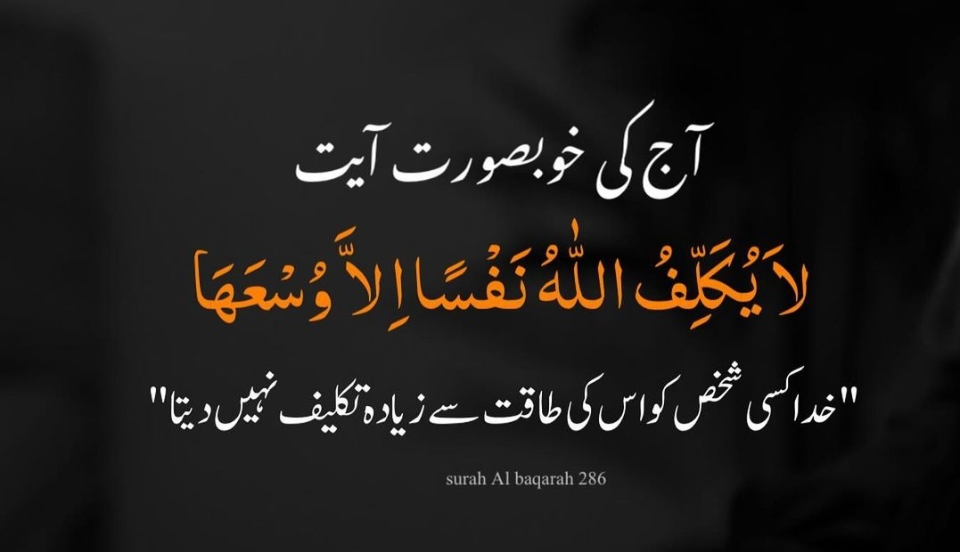 PakForeverIA's tweet image. السلام علیکم، صبح بخیر