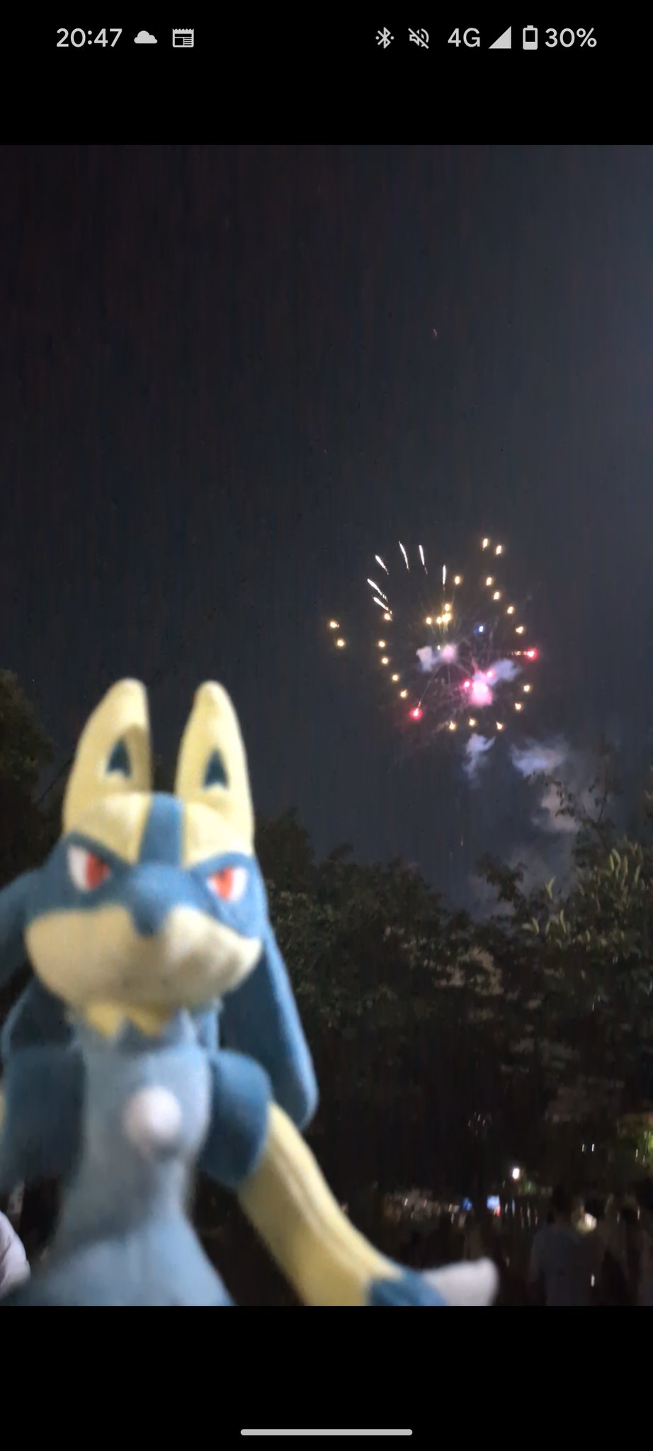 ThePokemonWeekly No,33「夏の夜彩るポケモン花火」 THE POKÉMON WEEKLY 『夏の夜彩るポケモン花火！』（ポケモン