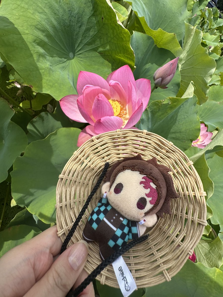 mao_lov's tweet image. 【お願い】
本日07/27 12:00ごろ行田タワー下の施設にてぬいが入ったバッグを紛失しました。
炭治郎のぬいぐるみ複数とアクリルスタンドが入った黒透明の紫の紐付きバッグです。
思い出深い大事な人形です。収得されました方、受付にお預けいただけませんでしょうか
また見かけた等情報も乞願🤲