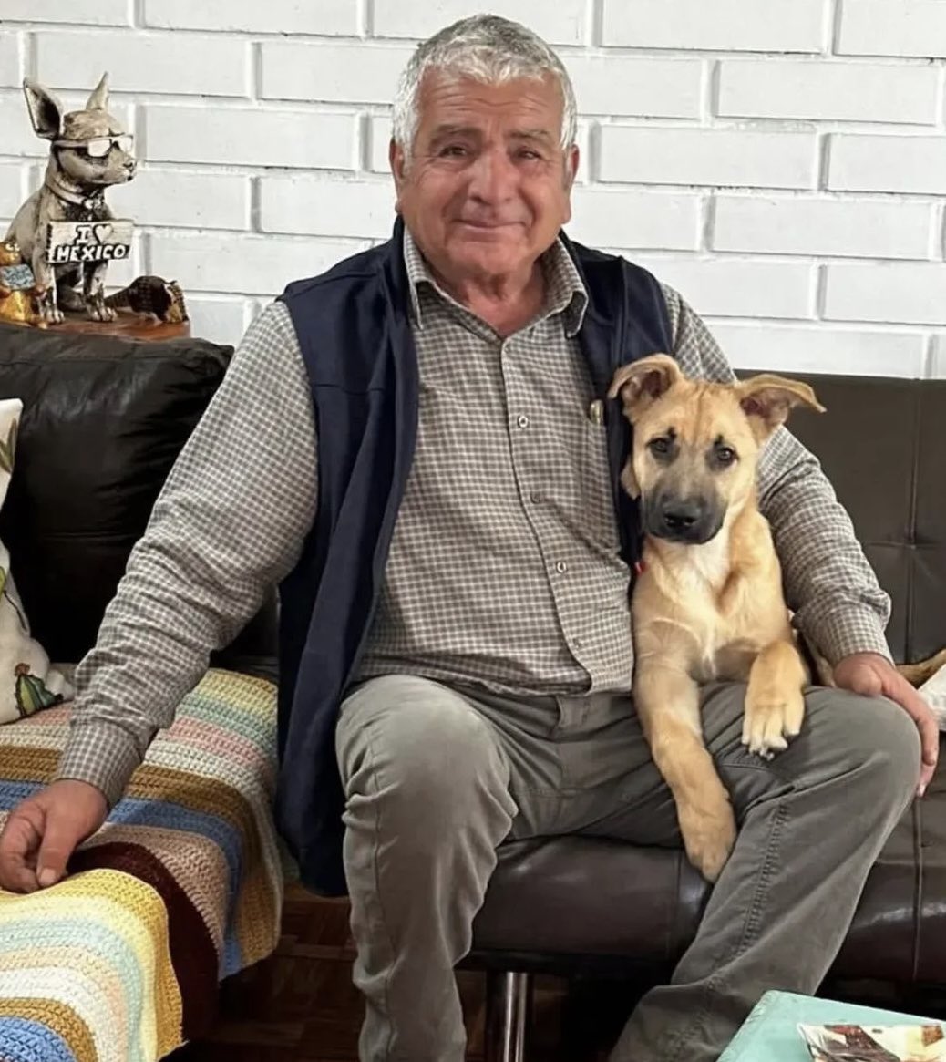 manecita06's tweet image. Este perrito ahora será feliz! Pero cuántos perritos están ahora viviendo infiernos ,viviendo con drogadictos,vagos ,personas desquiciadas y desequilibradas! 🥹🥹🥹🫶 así se defienden a los perritos cuando vemos que los están maltratando!RT buenas noches!